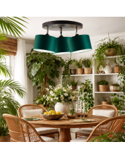 Nowoczesna 3 płomienna lampa sufitowa z regulacją DAKOTA z abażurami zieleń butelkowa