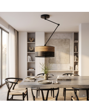 Nowoczesna lampa sufitowa z ruchomym ramieniem NEWA DUAL