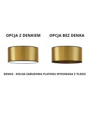 Regulowana lampa wisząca WAIKIKI W1 MIRROR