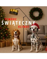 Lampy świąteczne i oświetlenie bożonarodzeniowe - inspiracje świąteczne LYSNE.PL